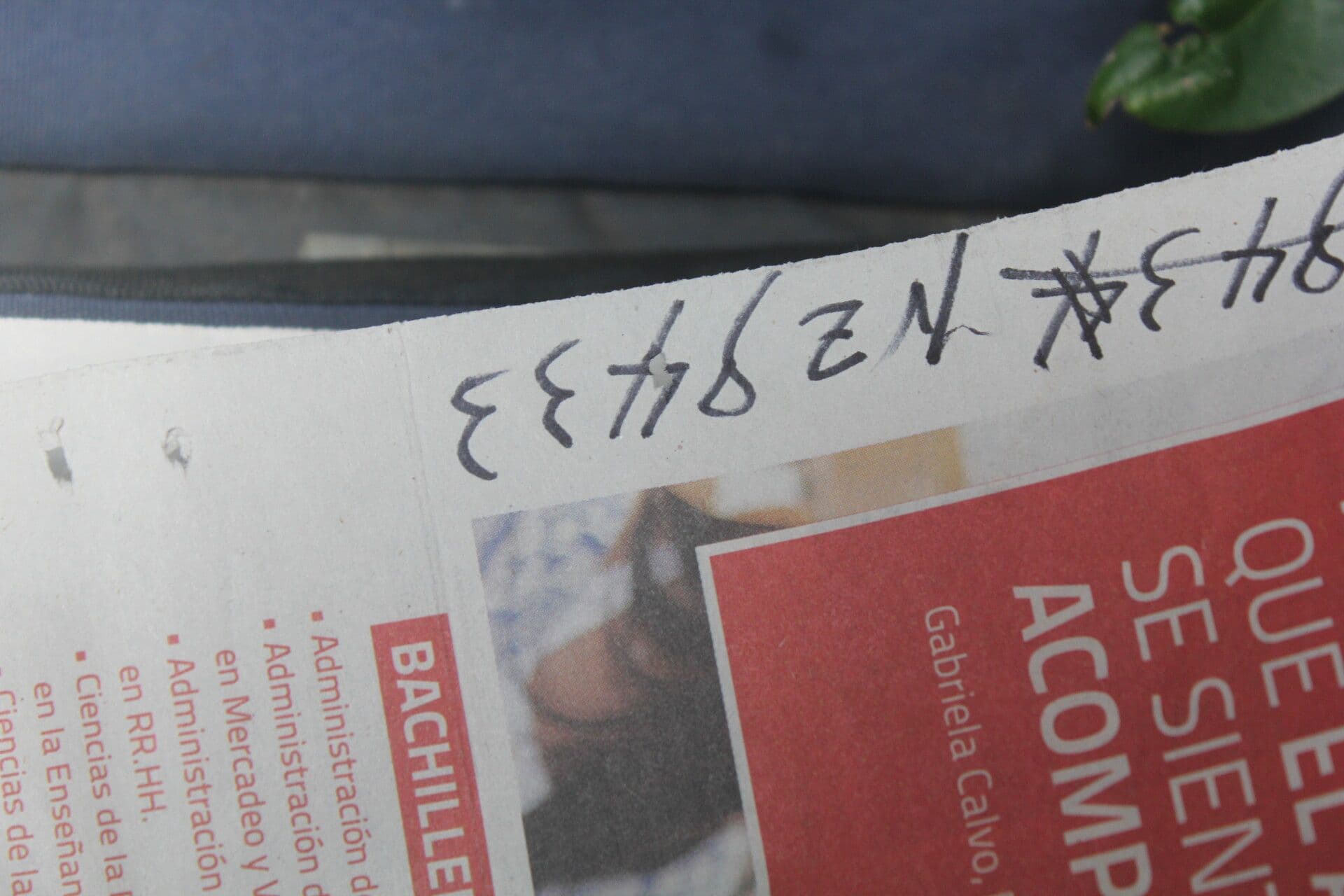 Eugenia 13