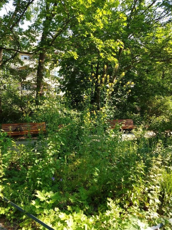 Loesels Rauke 15