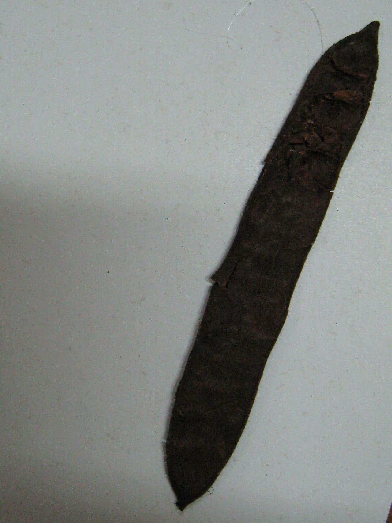 Stryphnodendron