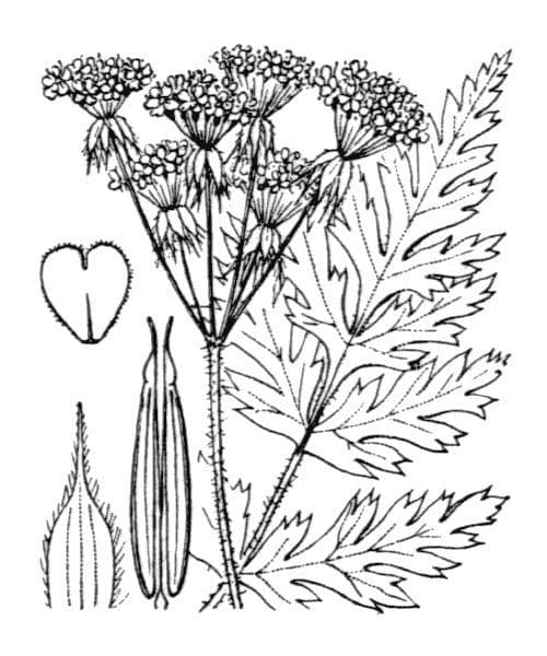 Krabilice Villarsova 28