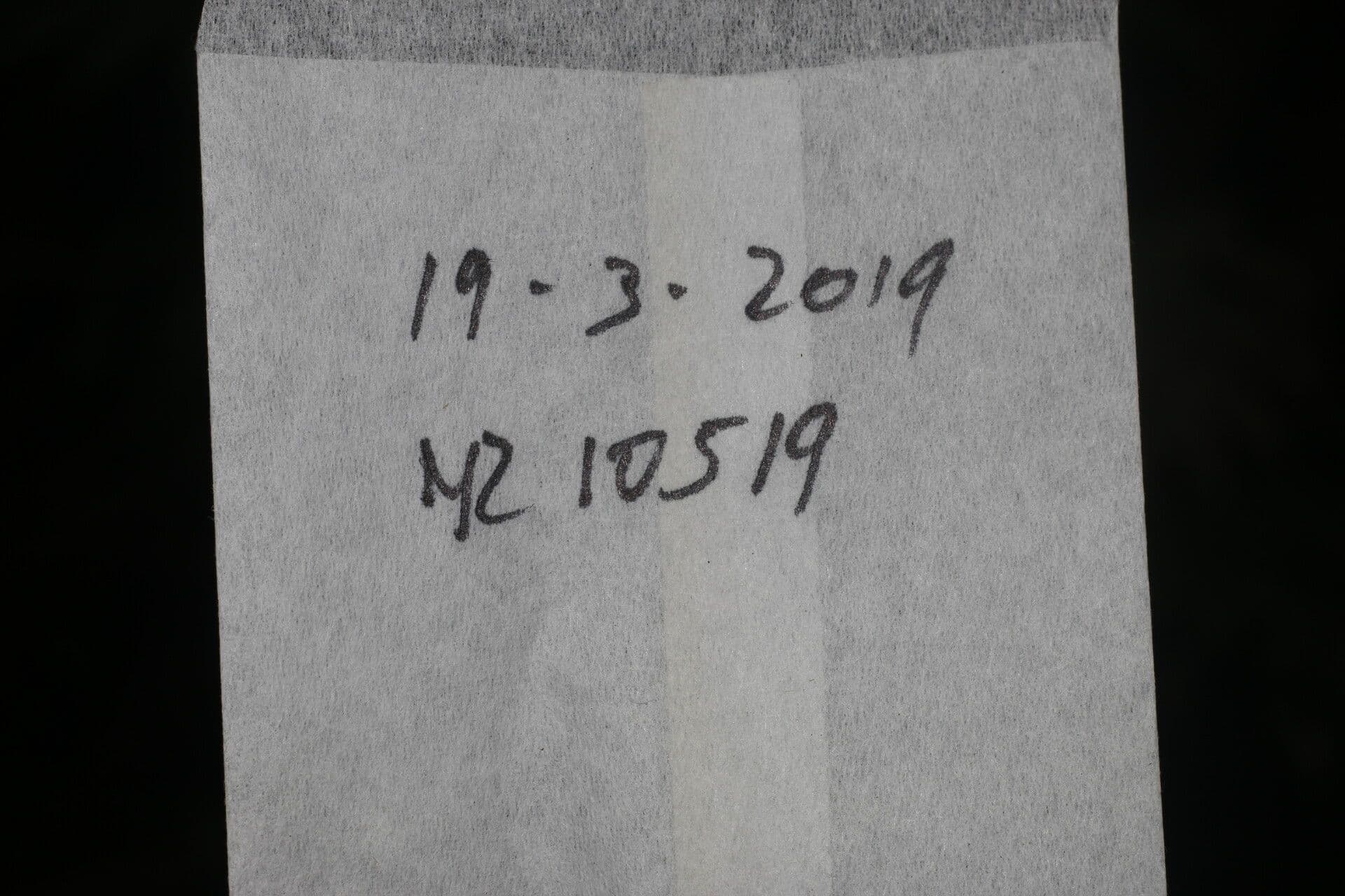 Amphidasya 12