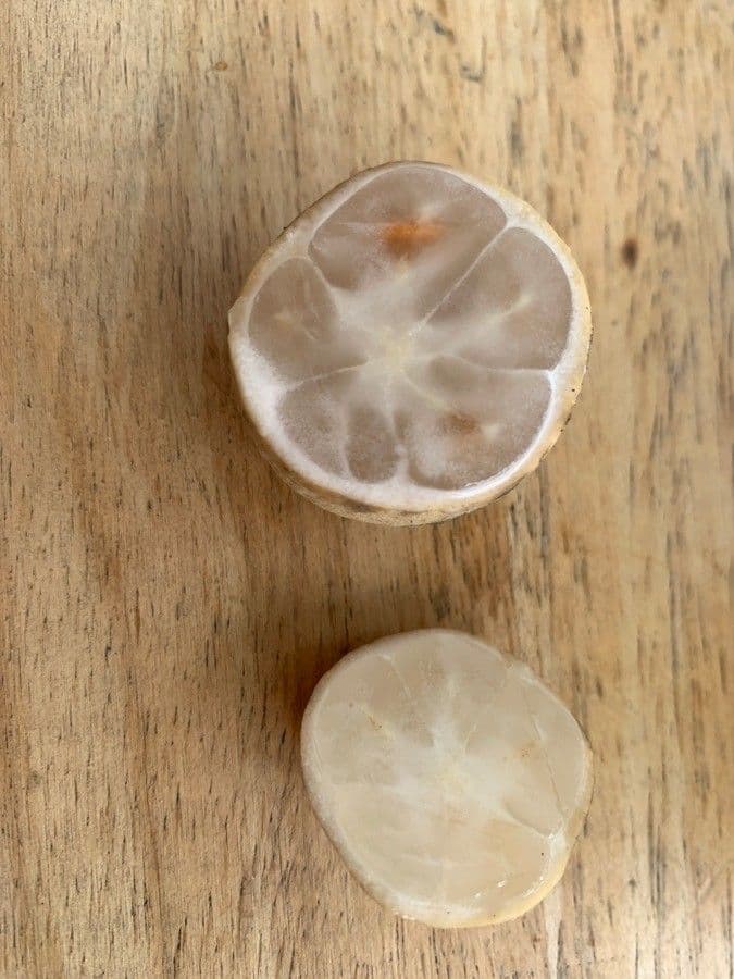 Baccaurea