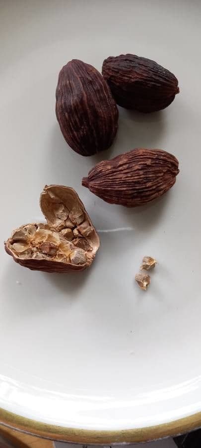 Kardomia