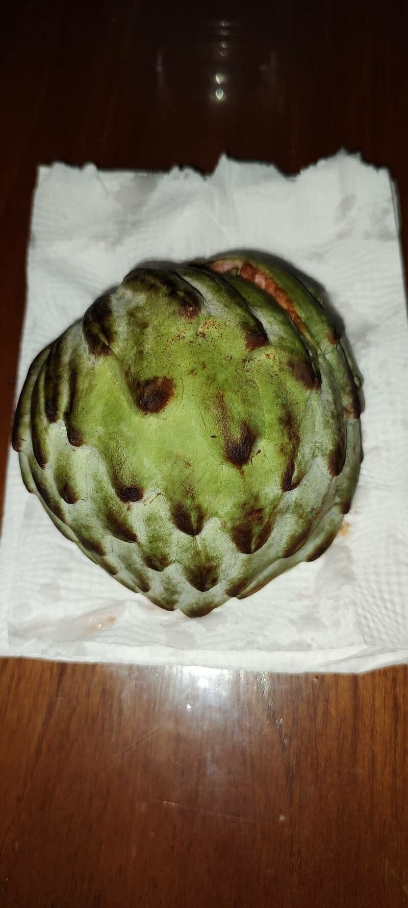 Anona