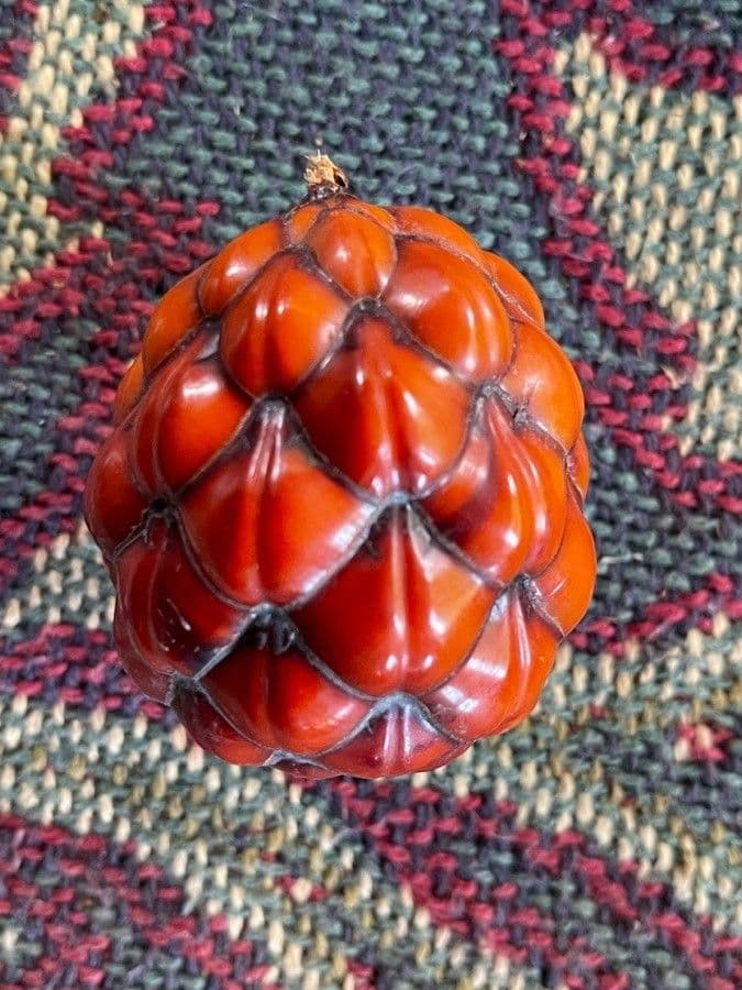 Raffia 2