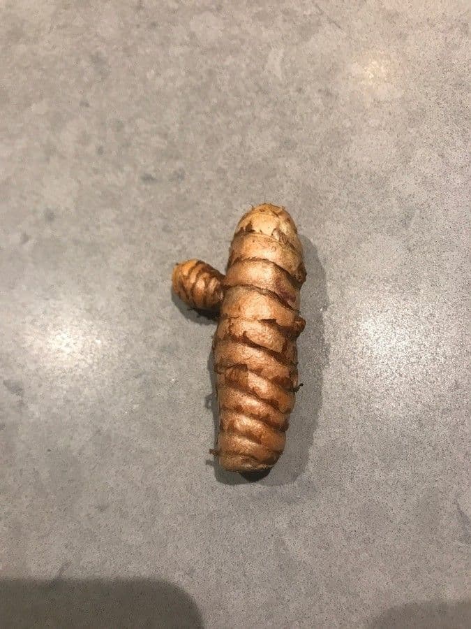 Curcuma 27