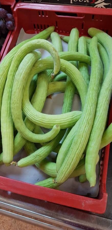 Zucca annuale 4