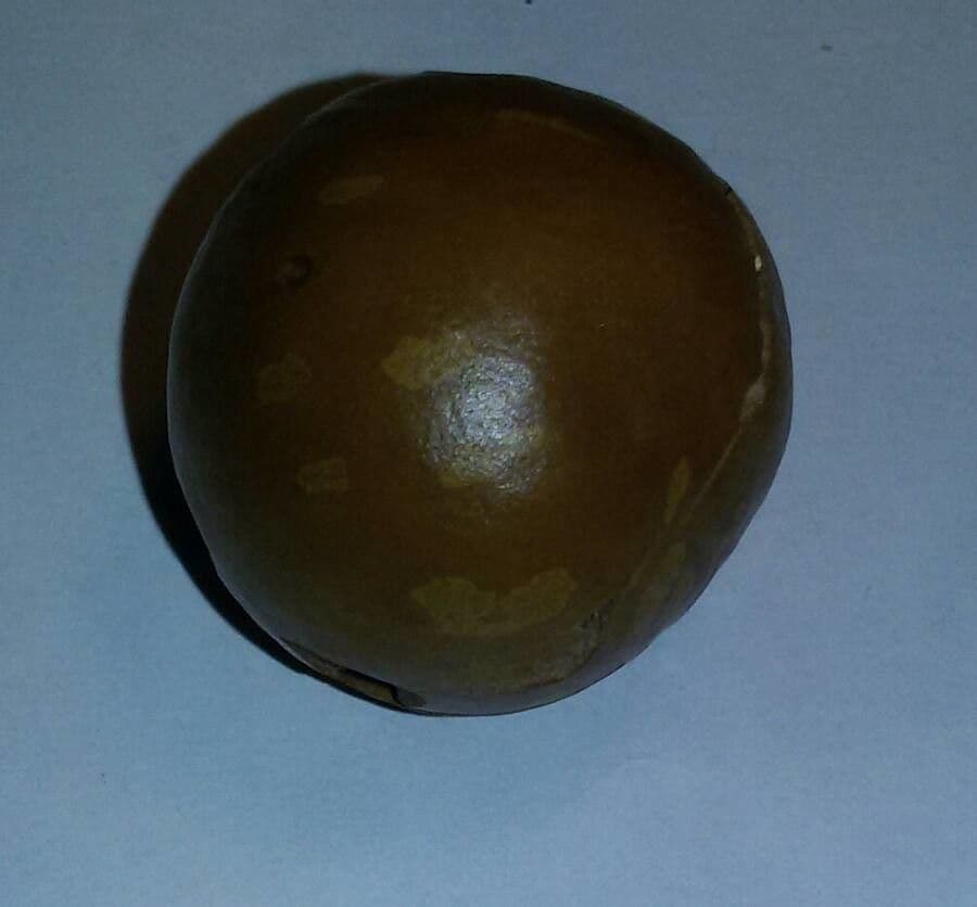 Macadamianuss 2