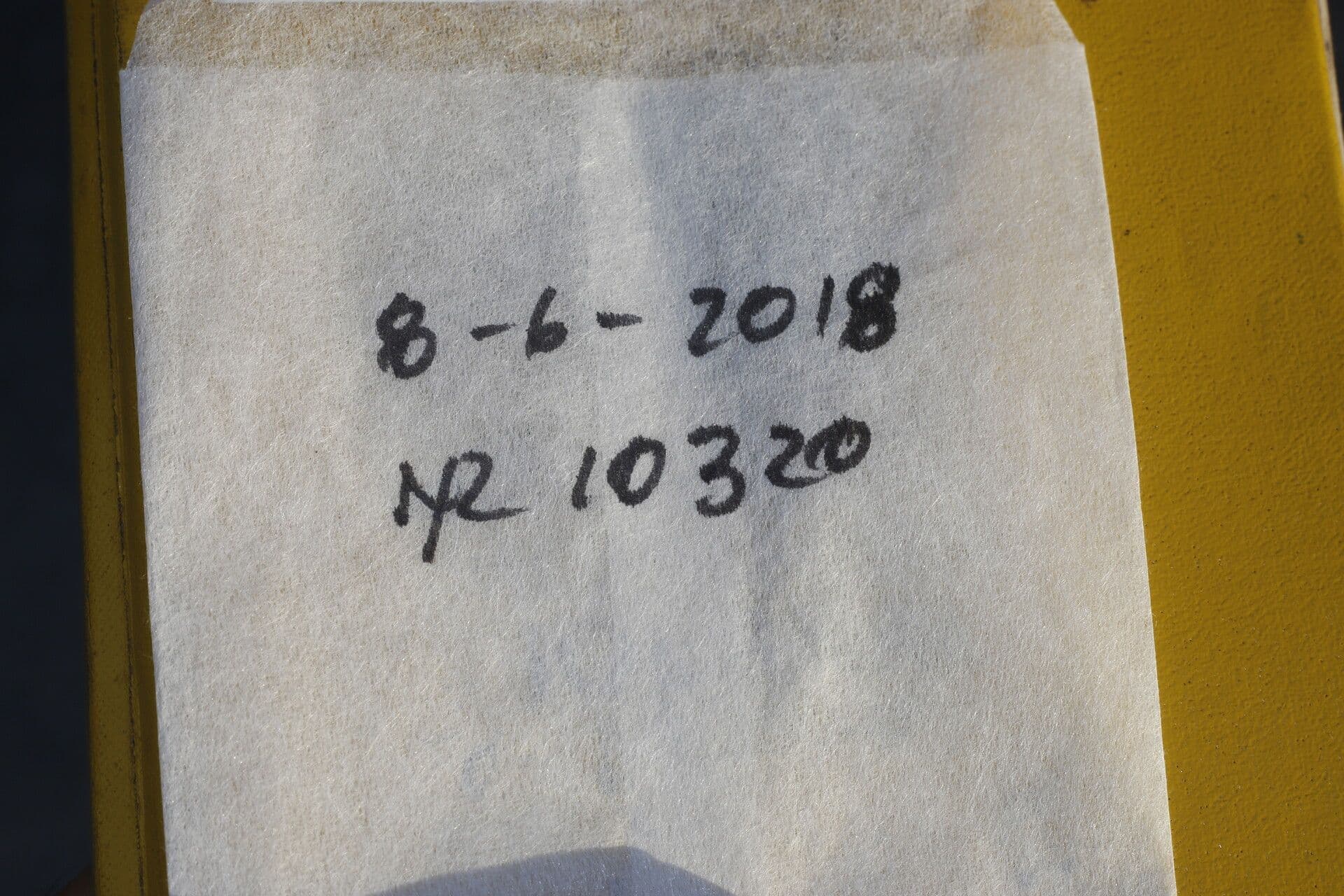 Senna 14