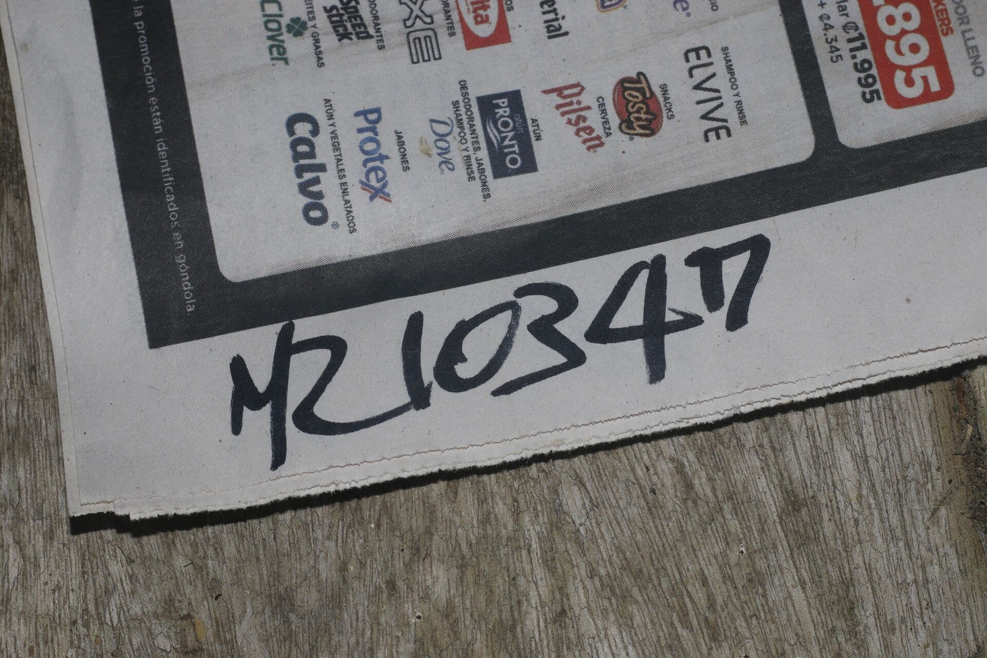 Veraguas-Mespilodaphne 23