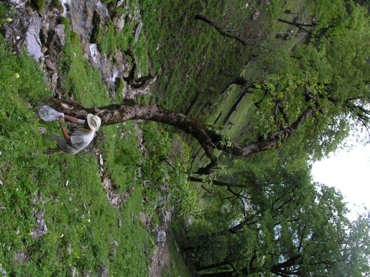Berretta da prete