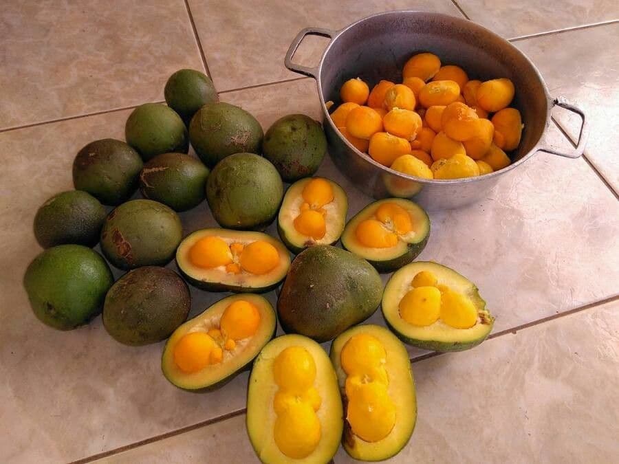 Pequi
