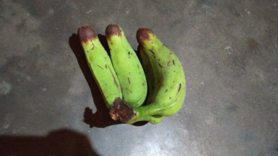 Banano