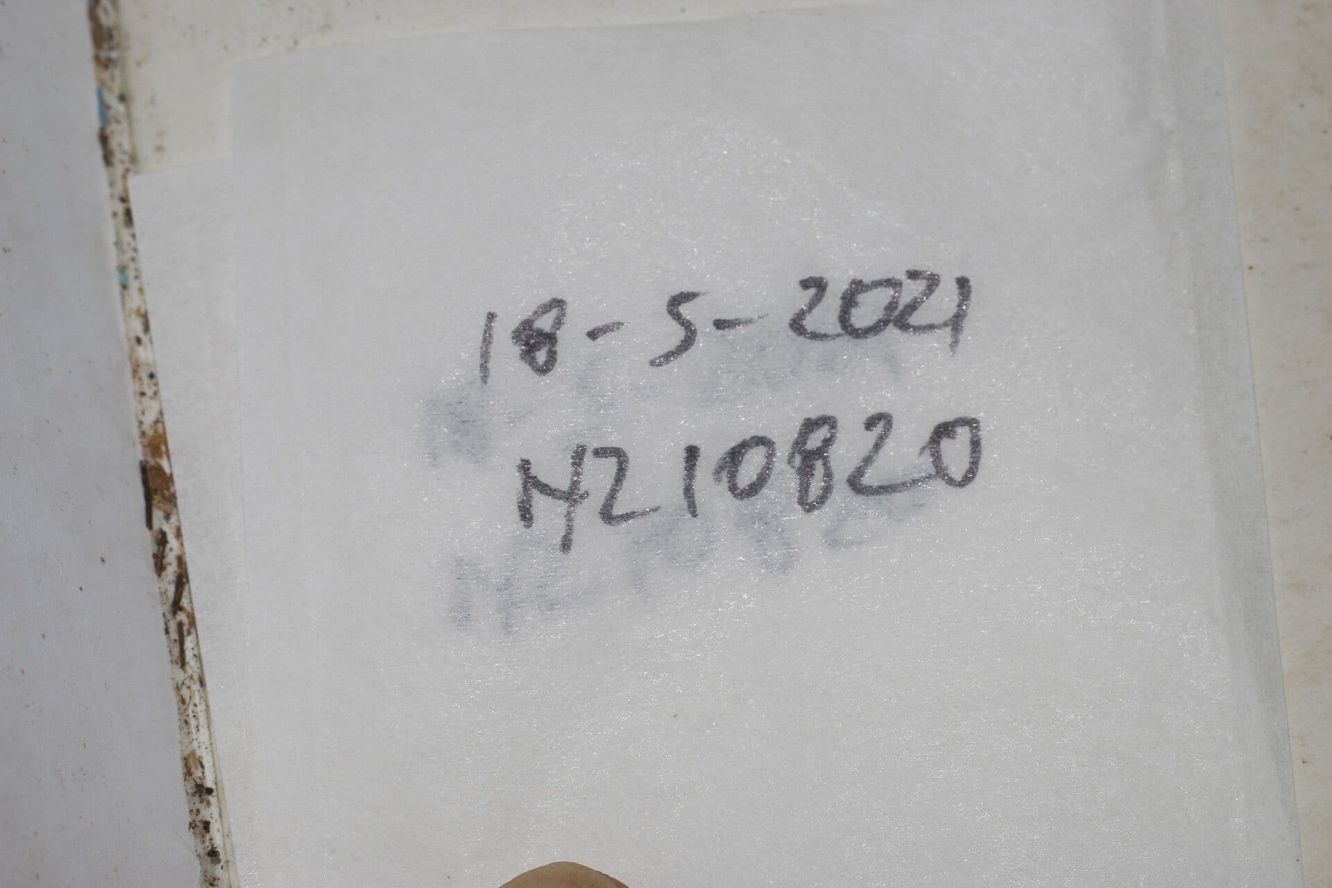 Psohlav 12
