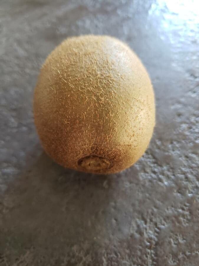 Kiwi dorato