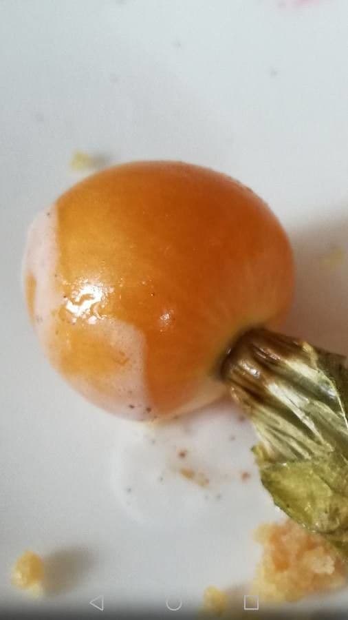 Physalis pubescent 3