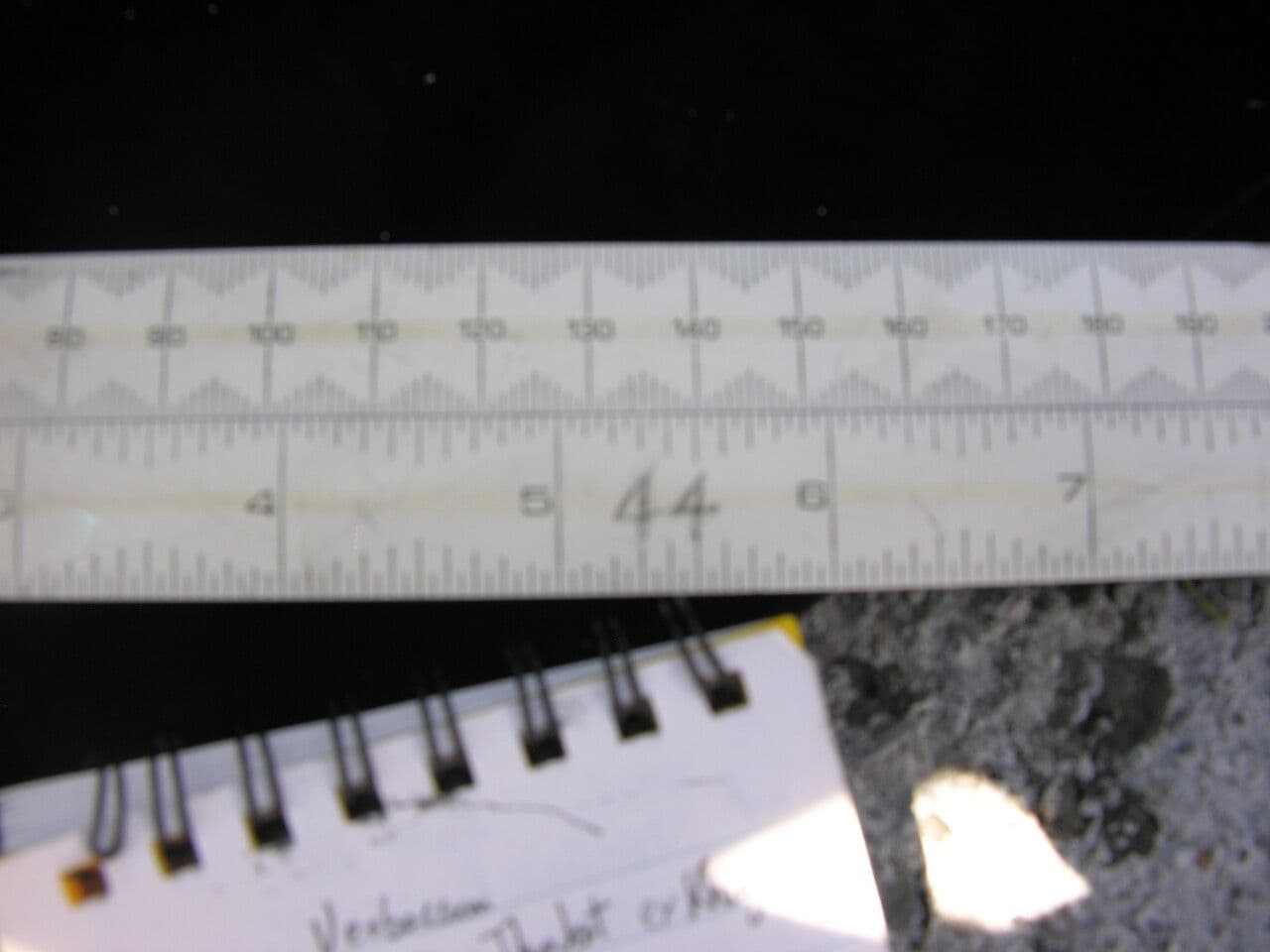 Berberitze 6