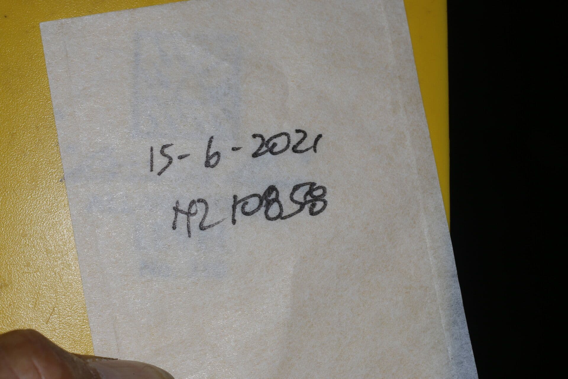 Pausandra 17