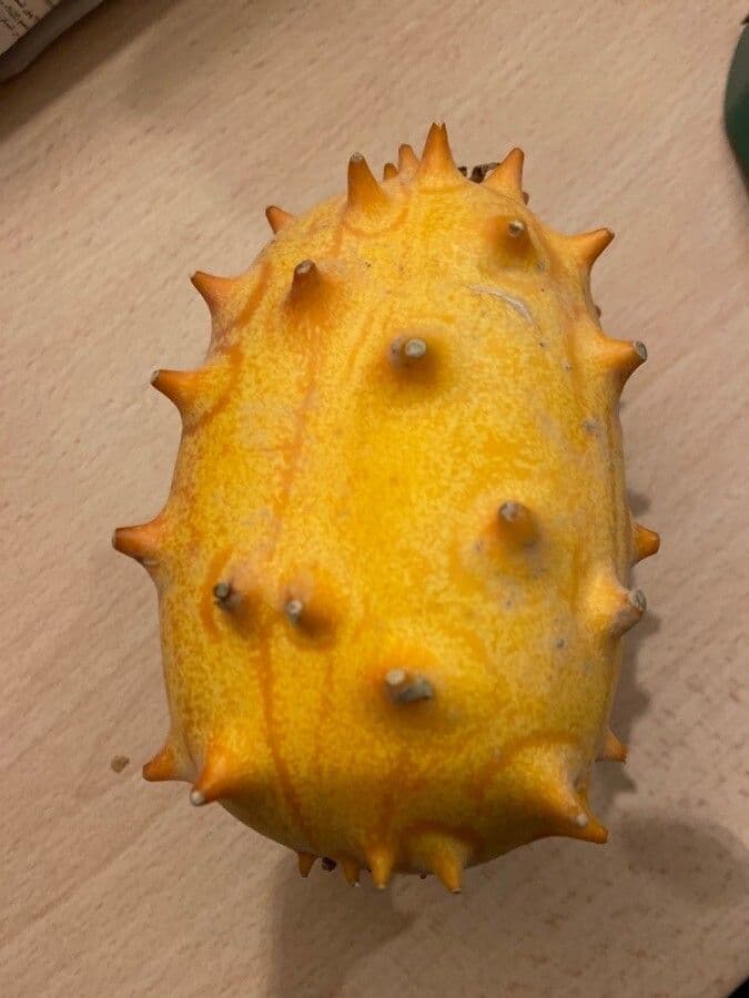 Melone cornut 4