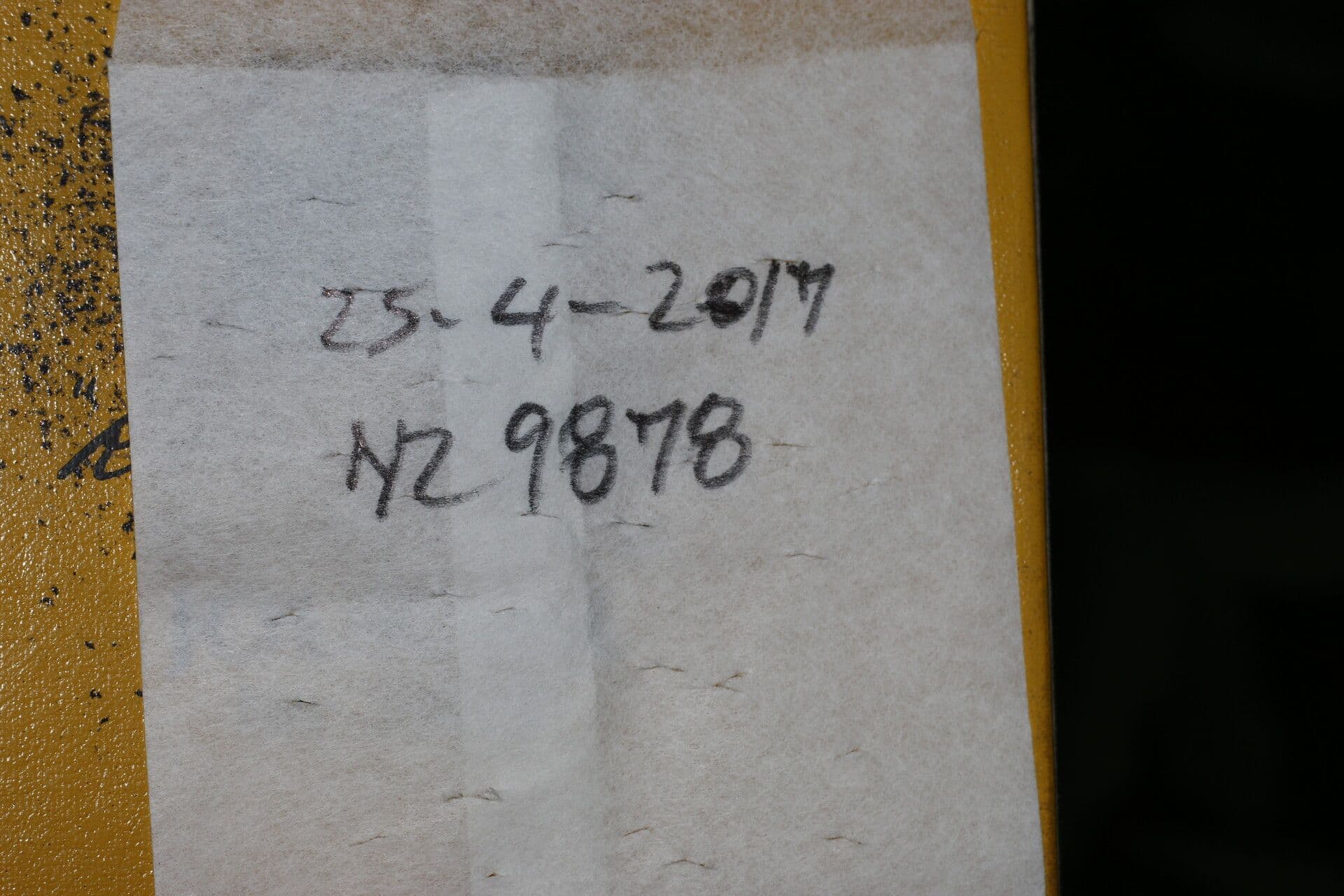 Oreomunnea 14