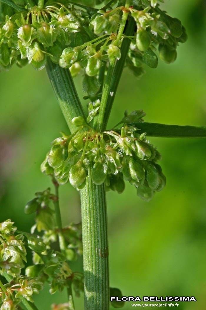B turnaj 24