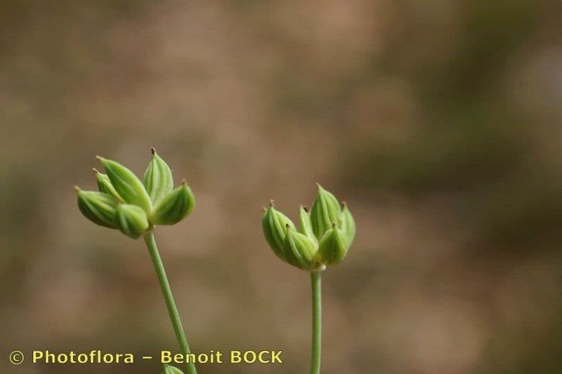 Doubravka 3