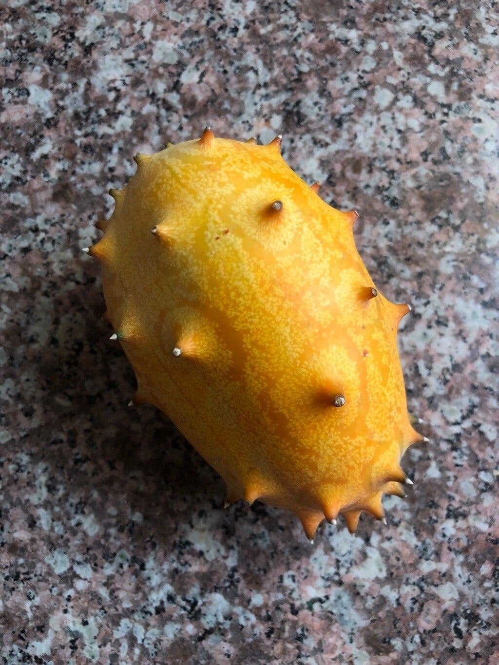 Melone cornut 2