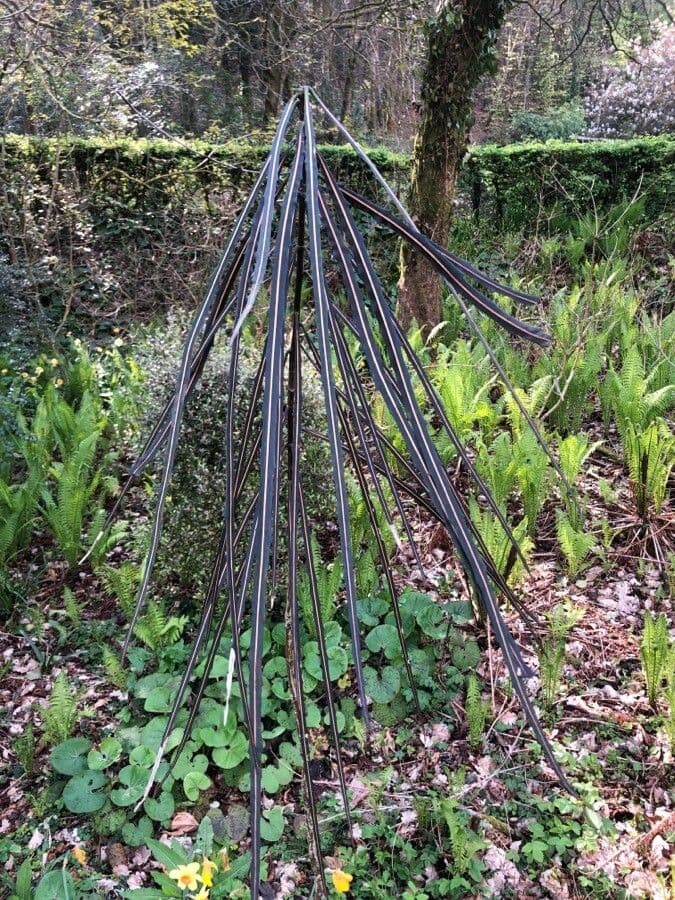 Bois de lance 8