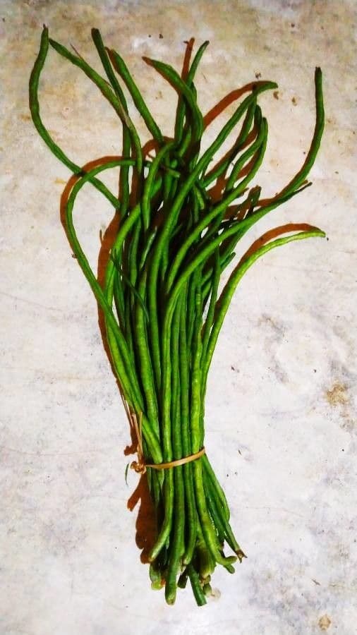 Cornille 5