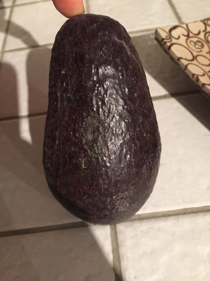 Avocado 2