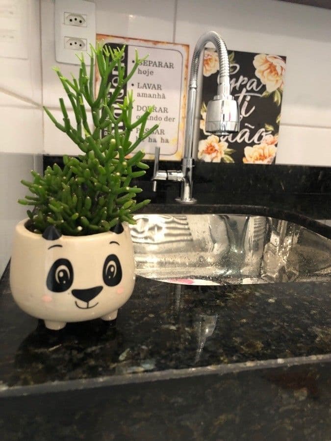 Cactus bottiglia
