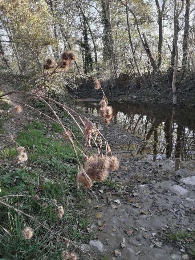 Große Klette 3