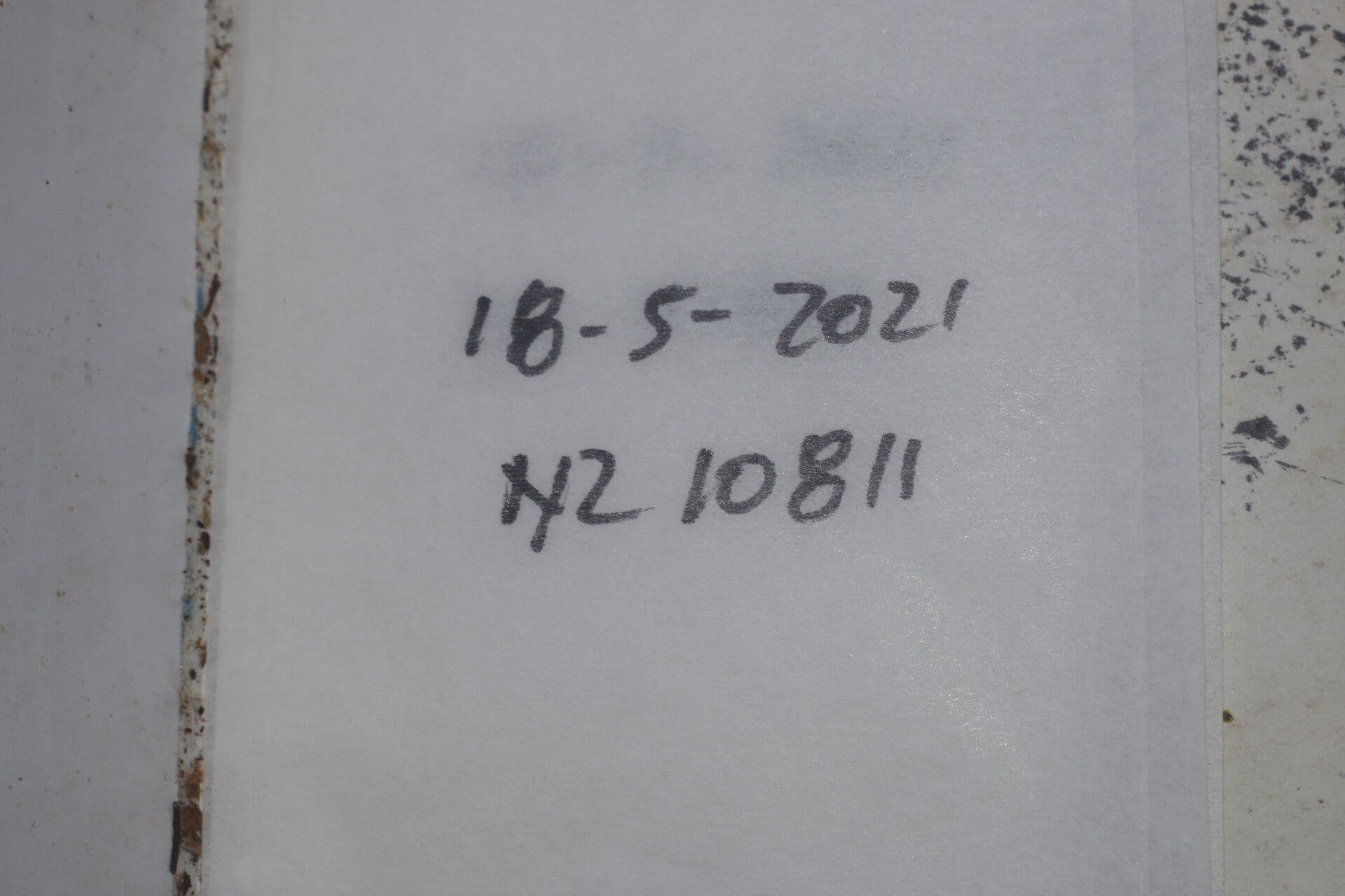 Prugna maiale 20