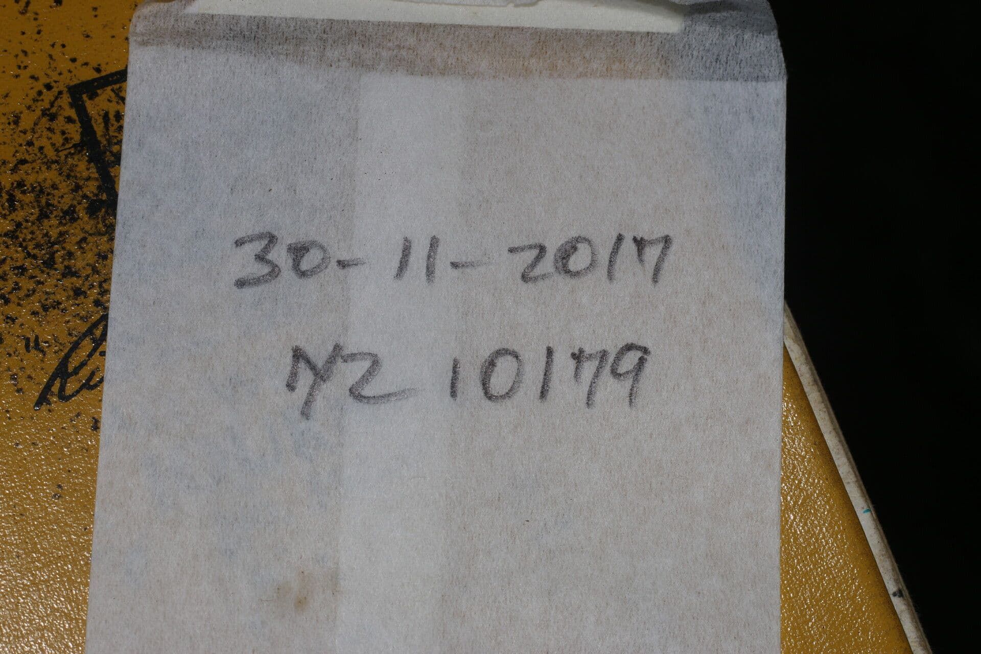 Notopleura 23